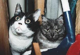 ���������A�~���N