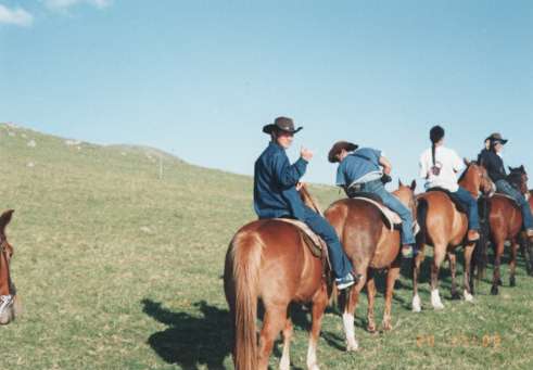 ��n�������̂��I