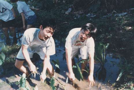 �n���C�Ń^���C���x