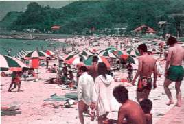 リップルランド